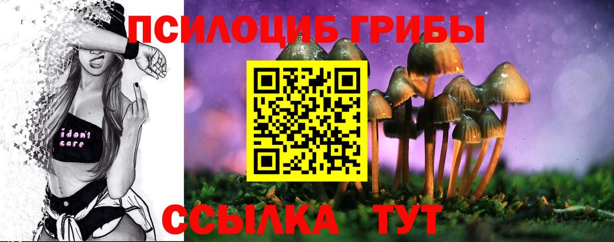 Псилоцибиновые грибы ЛСД  Вход с VPN  Псилоцибиновые грибы мицелий  Сунжа 