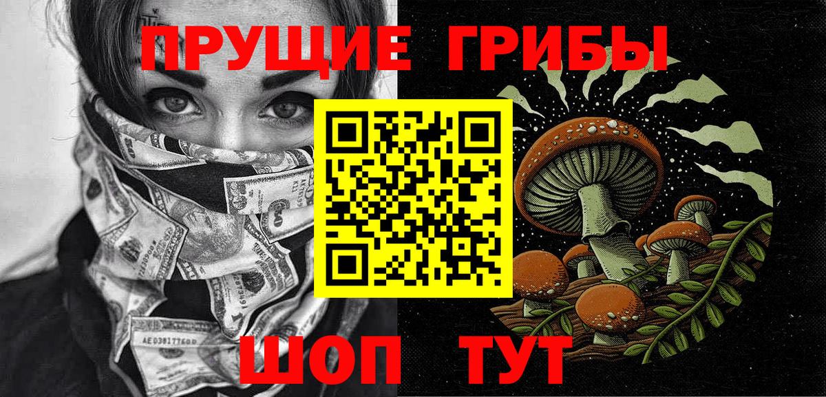 Галлюциногенные грибы Psilocybe Сунжа